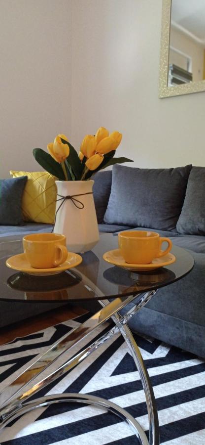Apartman Sunflower Σρέμσκα Μιτρόβιτσα Εξωτερικό φωτογραφία