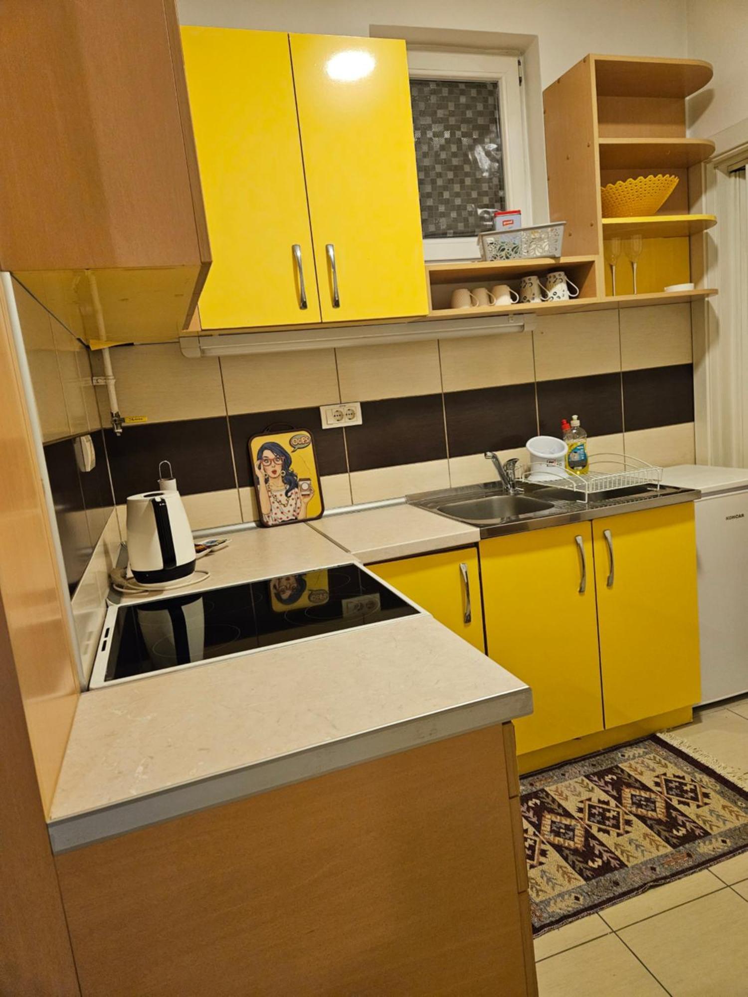 Apartman Sunflower Σρέμσκα Μιτρόβιτσα Εξωτερικό φωτογραφία